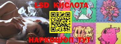 стафф Кингисепп