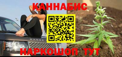 стафф Кингисепп