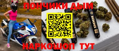 стафф Кингисепп