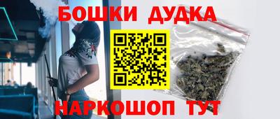 стафф Кингисепп