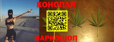 стафф Кингисепп