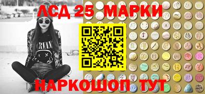 стафф Кингисепп
