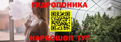 стафф Кингисепп