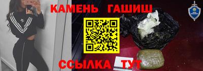 стафф Кингисепп